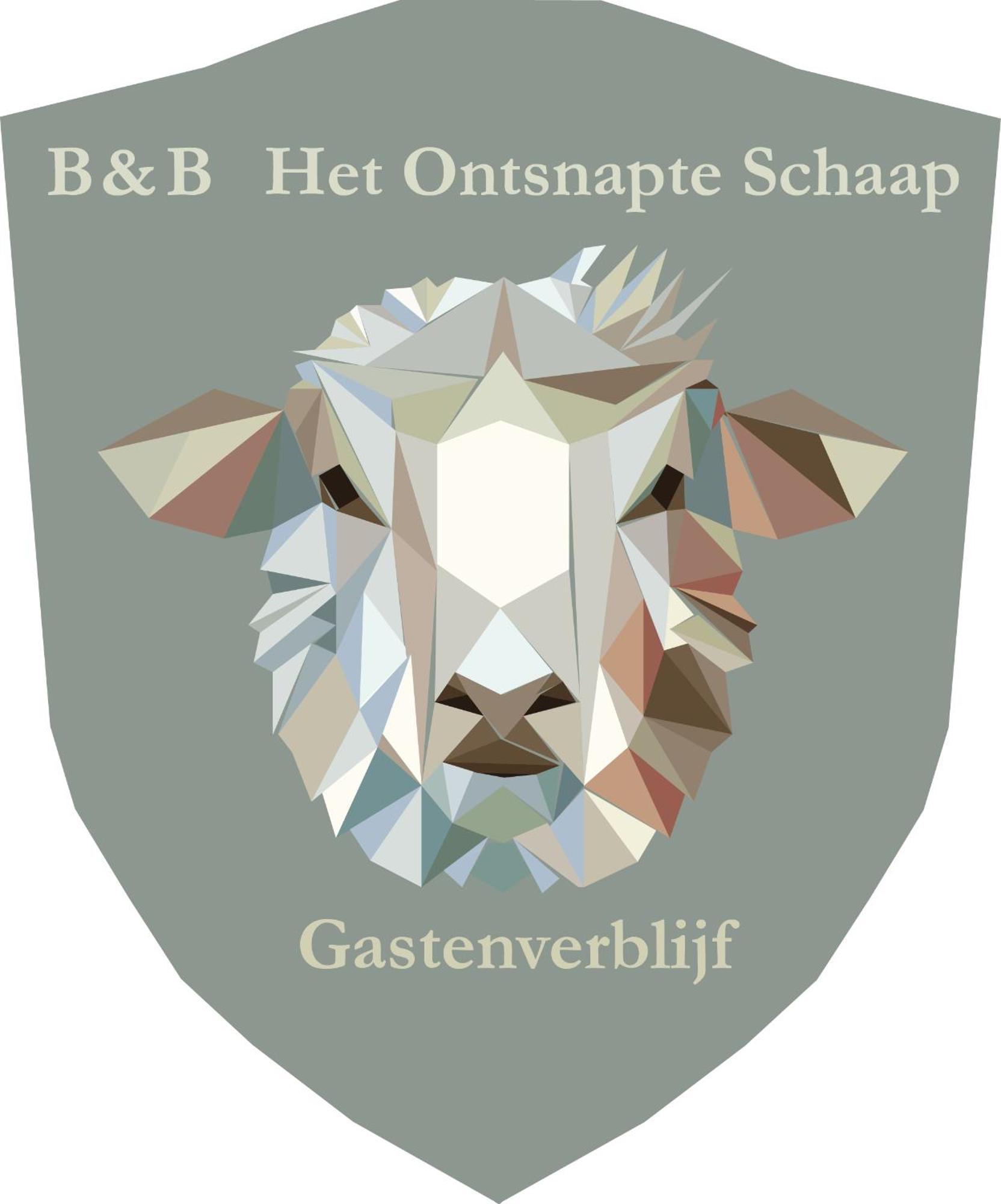 Prive In Een Bosrijke Omgeving Welkom Bij Gastenverblijf Het Ontsnapte Schaap In Jubbega Ngoại thất bức ảnh